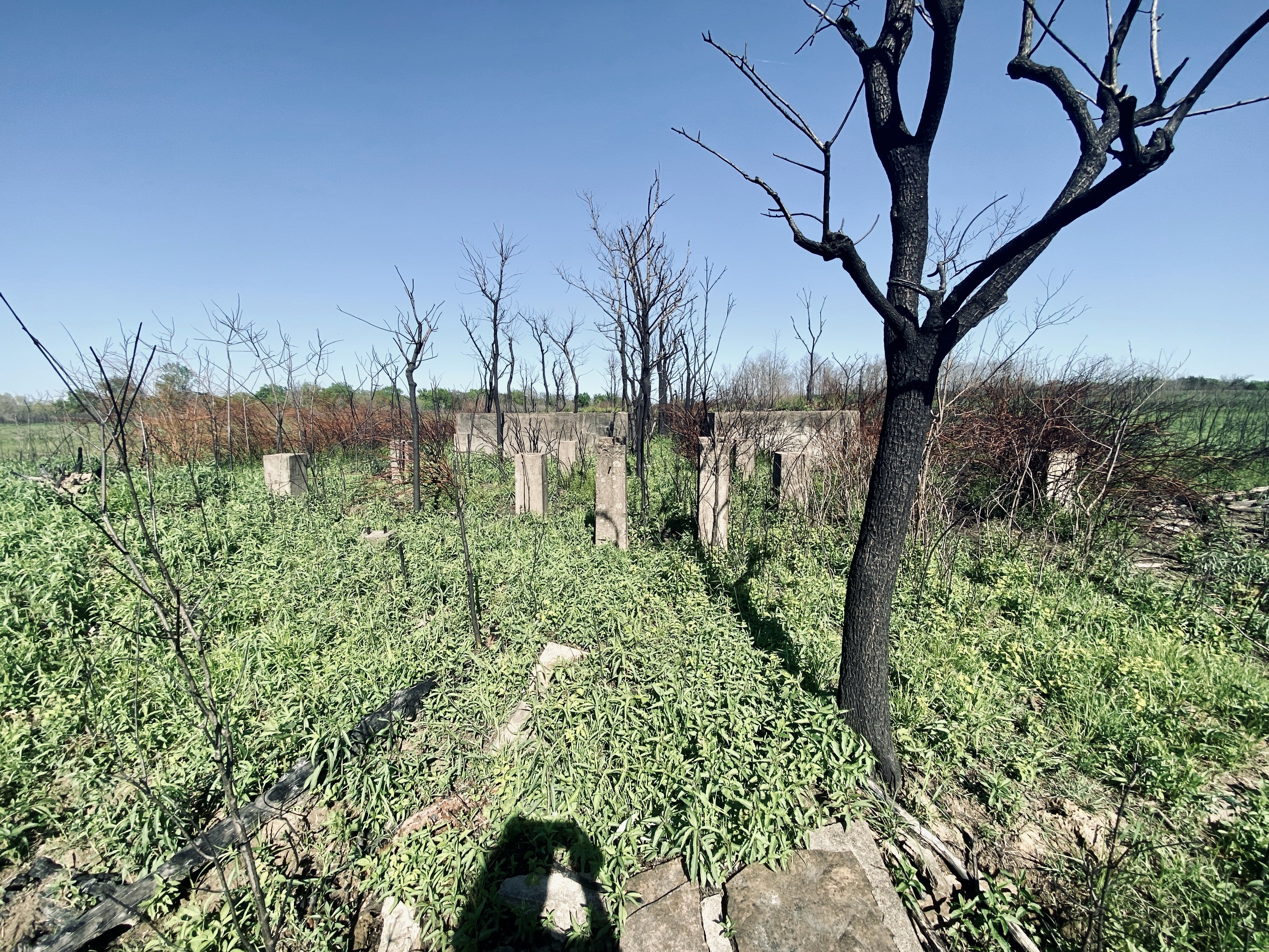 Foundations and ruins at Camp Gruber reclaimed by grass and bare trees